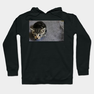 The Huntress Hoodie